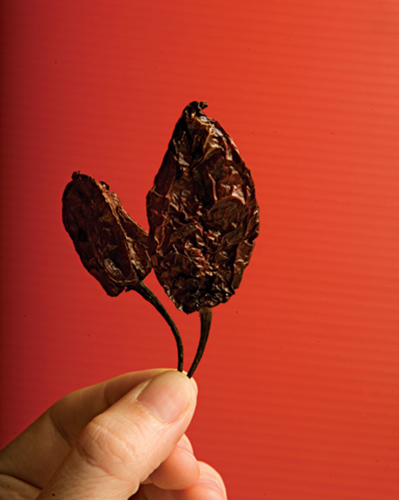 The world's hottest pepper spawns a cottage industry in Nashville