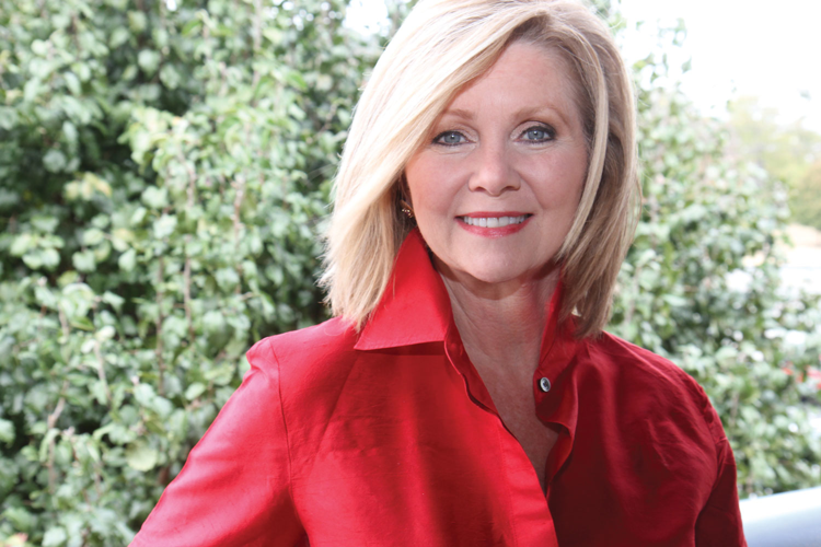 Bredesen vs. Blackburn