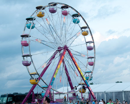 Scenes from Bonnaroo