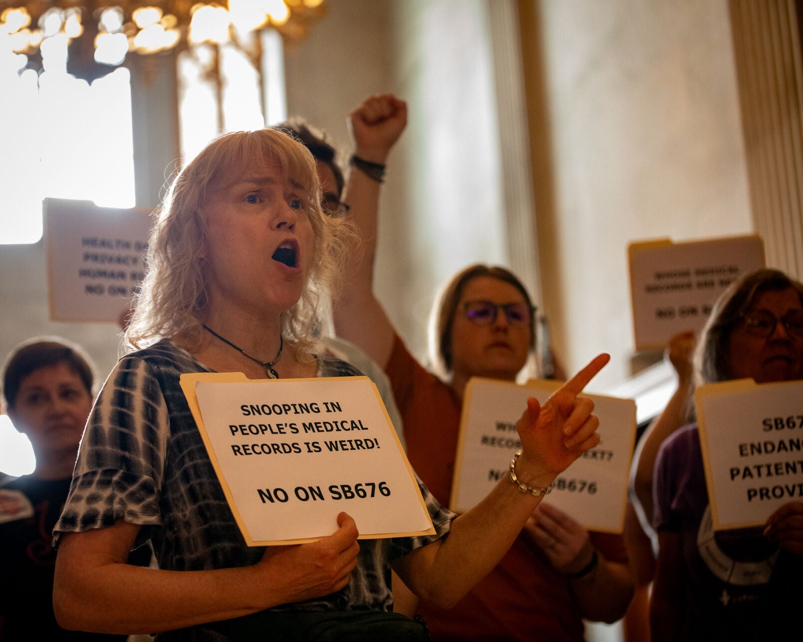 Protesters gather at the state Capitol in opposition to Senate Bill 676