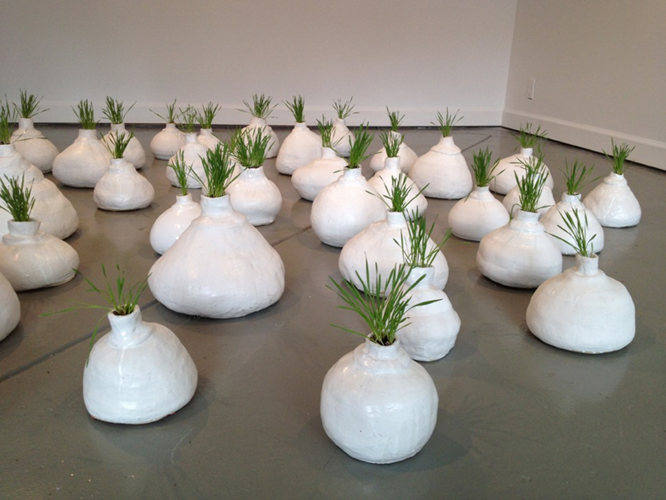 Installation View: Mathilde Roussel's <i>Anatomia Botanica</i> at Cheekwood