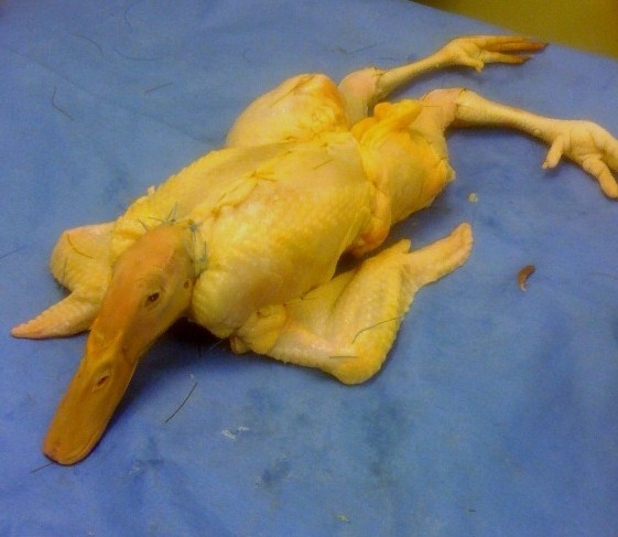 A Post-Halloweird Treat