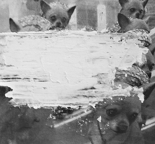 Pick of the Day: Izel Vargas' Exiles at The Belcourt