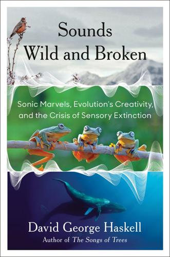 Book-Cover---Sounds-Wild-and-Broken-David-Haskell-.jpg