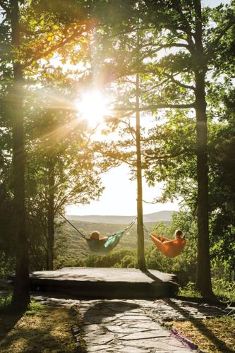 Garden of the Gods hammocks