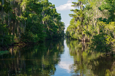 South Gotta Change: ‘Bedtime in Mississippi’