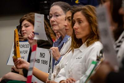 Advocates and physicians attend express opposition to "abortion trafficking" bill, Feb. 21, 2024