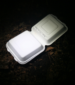 Breaking Down the Breakdown of a Green Takeout Box