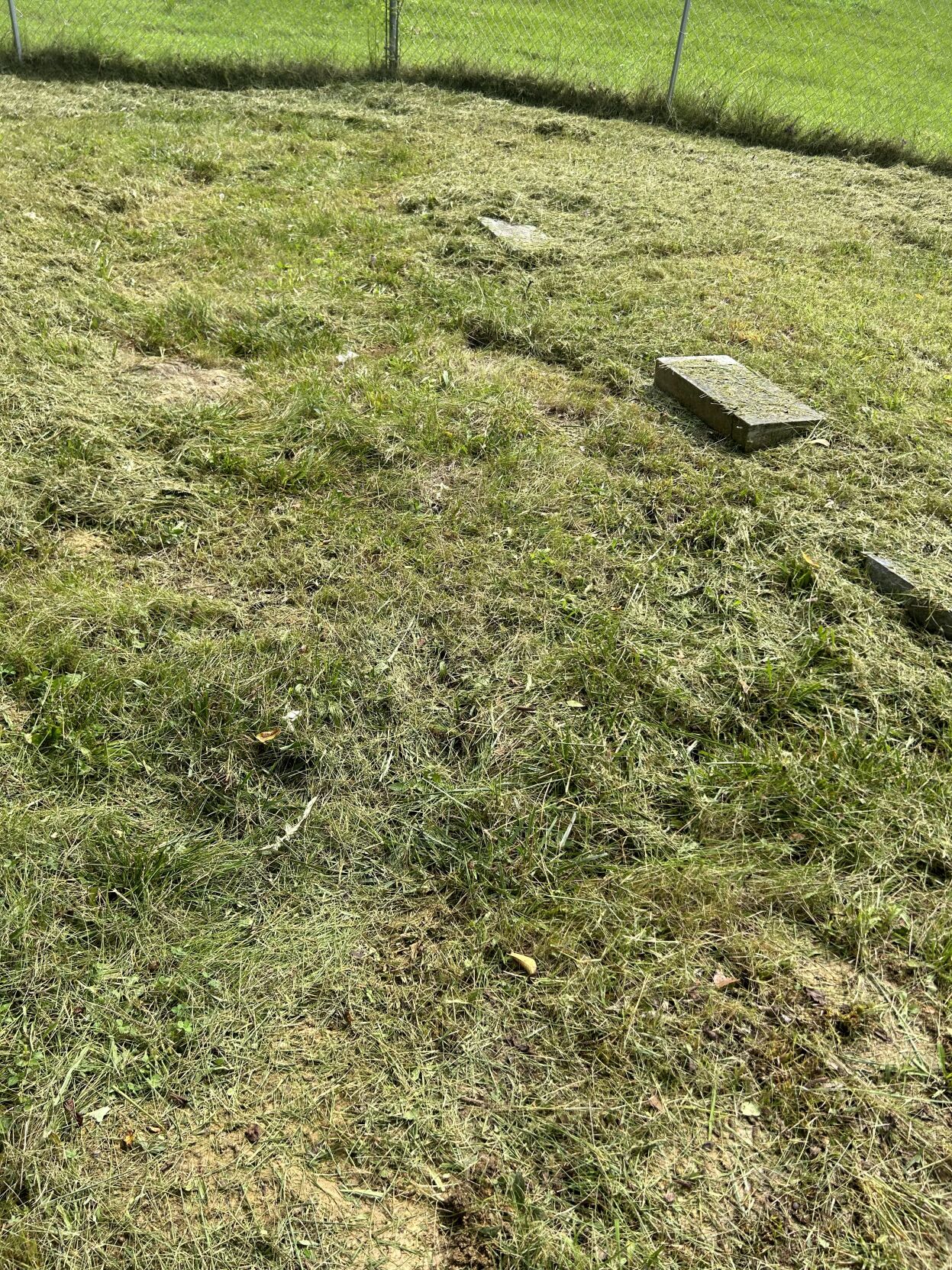 Olive Branch Missionary Baptist Church Cemetery