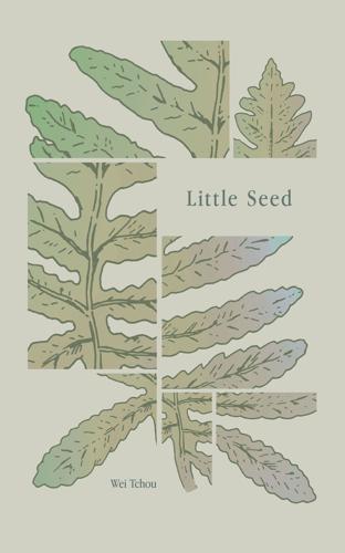 0620 - DeepVellum - Little Seed - Final