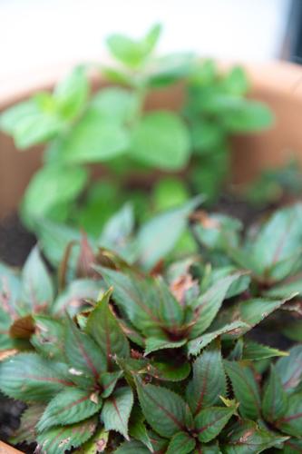 The Heimerdinger Foundation