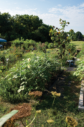 Walk a Mile: Old Hickory Village
