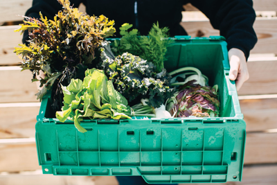 The Takeout Guide: Support Your Local Growers!