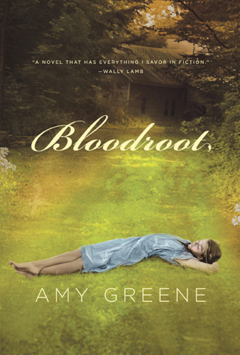 With <i>Bloodroot</i>, Tennessee debut novelist Amy Greene brings Romanticism to the 21st century