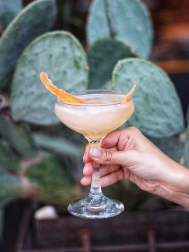 Mezcal Week.jpg