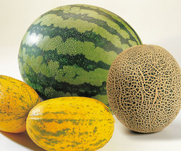 Market Driven Activity: Local Chefs Share Wares At Nashville Farmers' Market