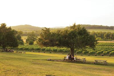 Arrington_0020dm.jpg