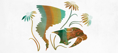 Best Social Media Presence