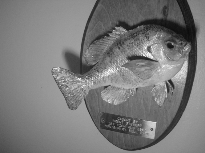 Ephemera from Brent Stewart's Collection [Artist of the Month]