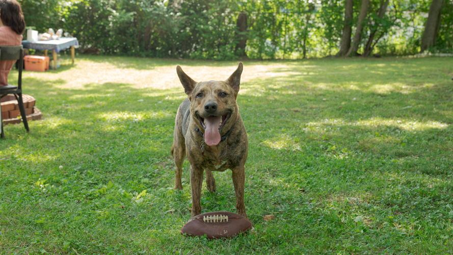 DIY Faves Styrofoam Winos, Josh Halper and Abby Johnson Plug Back In