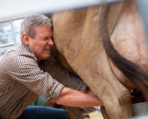 Gov. Bill Lee milks a cow as part of Ag Day on the Hill, March 2022