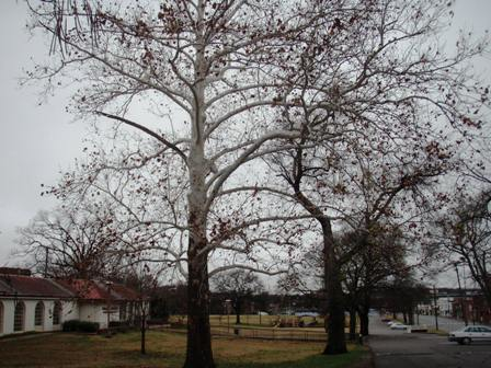 Richland Park: A Review