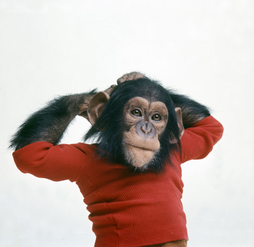 Your user’s guide to the 2011 Nashville Film Festival