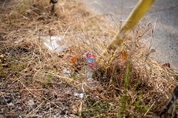 A Group Show at David Lusk Gallery Is a Visual Treasure Trove