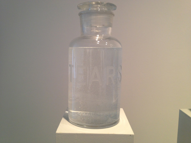 Installation View: Mathilde Roussel's <i>Anatomia Botanica</i> at Cheekwood