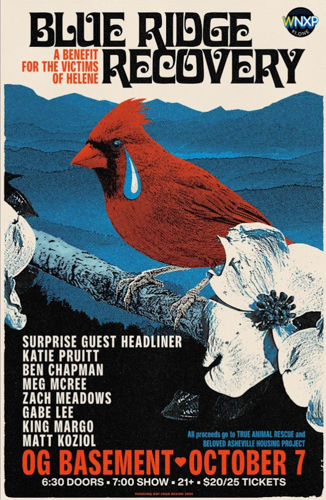 Blue Ridge Recovery benefit show poster