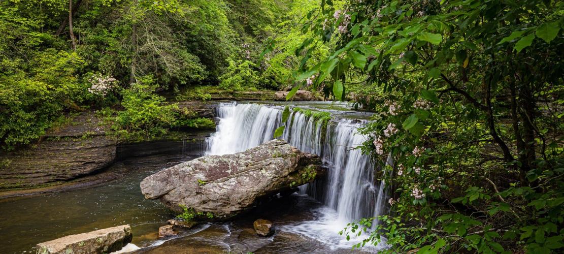 Color photo of a small waterfall in Savage Gulf State Park