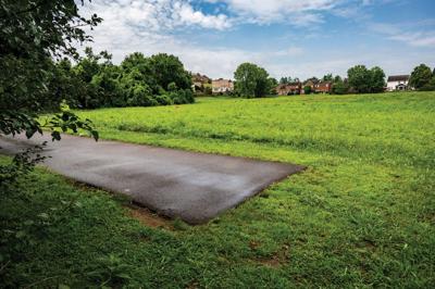 Bellevue greenway