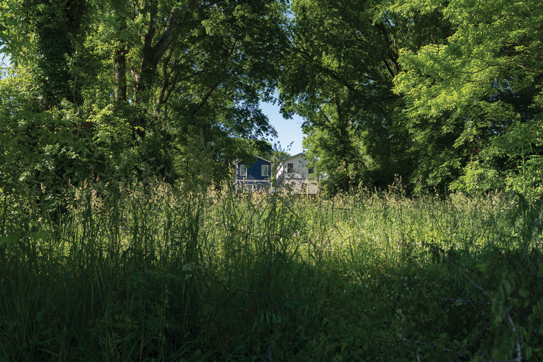 Walk a Mile: Buena Vista Heights