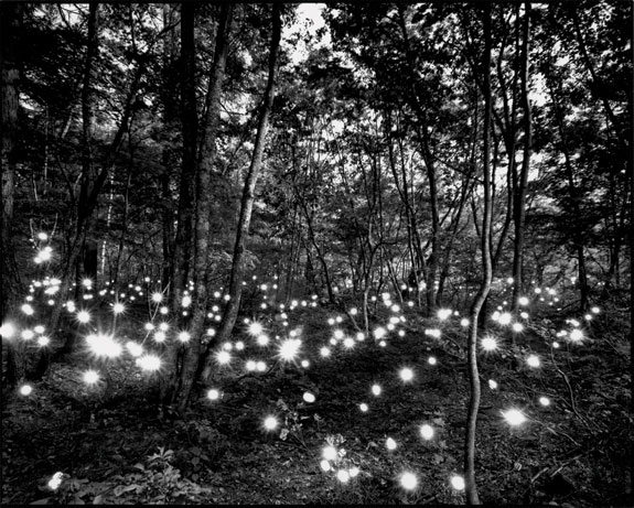 Photographer Tokihiro Sato plays with light and perspective to capture a fresh vision of the world around us