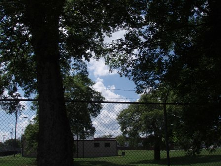 Tom Joy Park: A Review