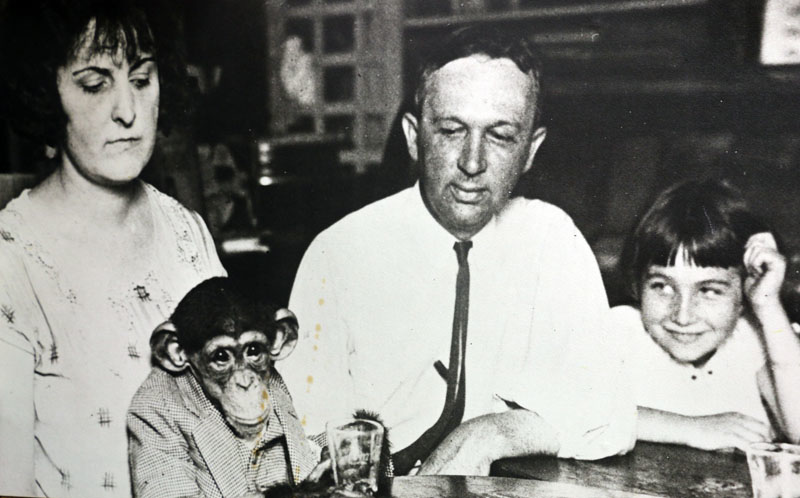 Remembering The Notorious Scopes 'Monkey Trial' On Its 90th Anniversary ...