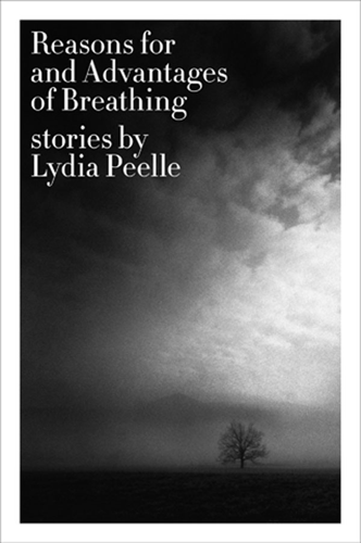 Lydia Peelle brings a prestigious Whiting Award — and $50,000 — home to Tennessee