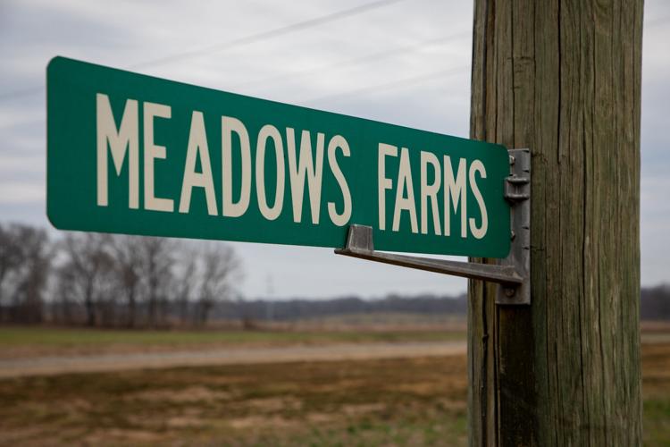 03022026_AlanMeadowsFarm_WEB-1 (1).jpg