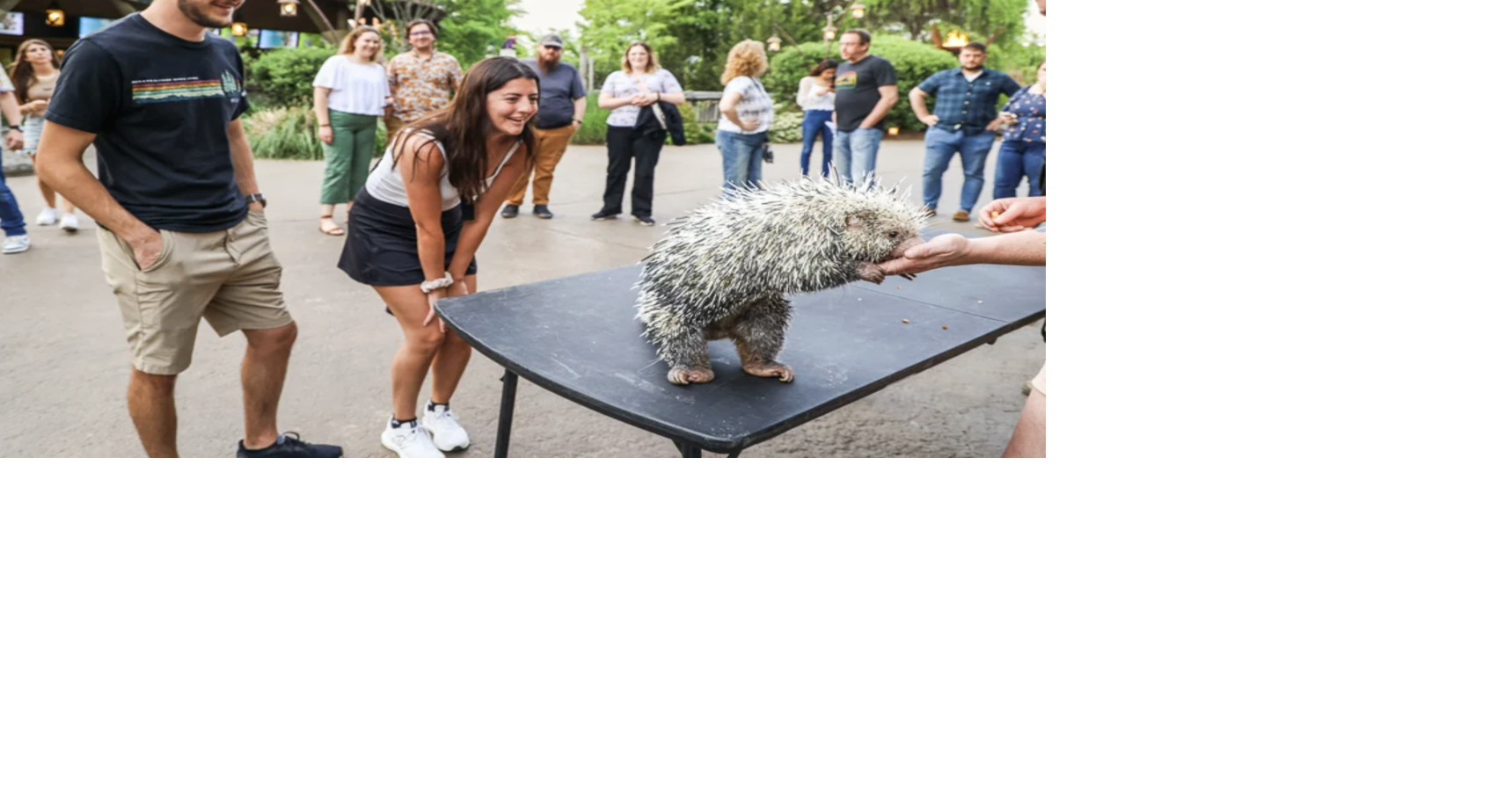 Stay Updated on Everything Nashville - News Directory 3