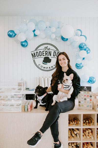 The Modern Dog Company