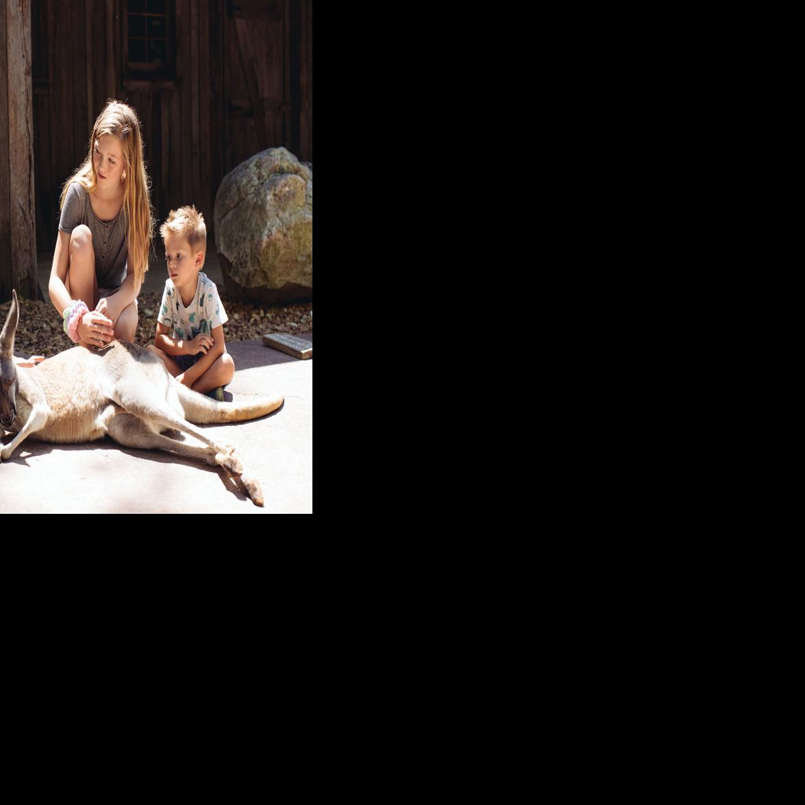 City Guide | nashvillescene.com