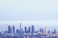 Let the Sun Shine In