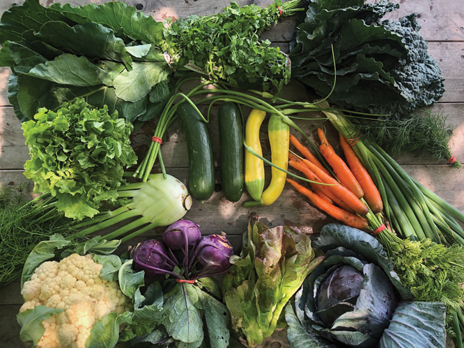 Here Are Some Area Suppliers for Your Seasonal CSAs