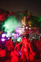 8.15.2025.DeepTropics-6408.jpg