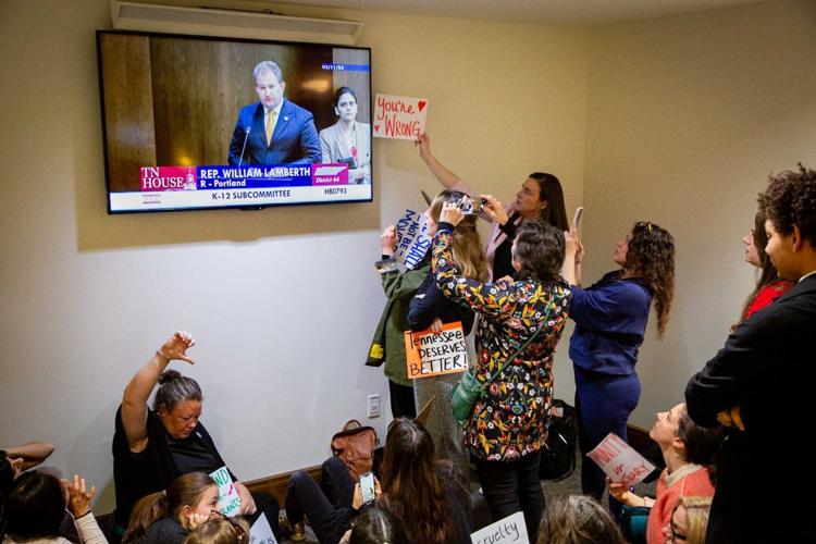 Protesters react to discussion of HB 793, March 11, 2025