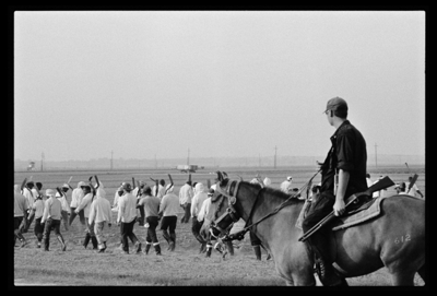 Best Radical Exhibition