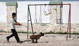 The Nashville Film Festival turns 40—and here's your guide to the life of the party