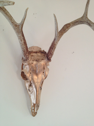 Studio Visit: Cathy McClure