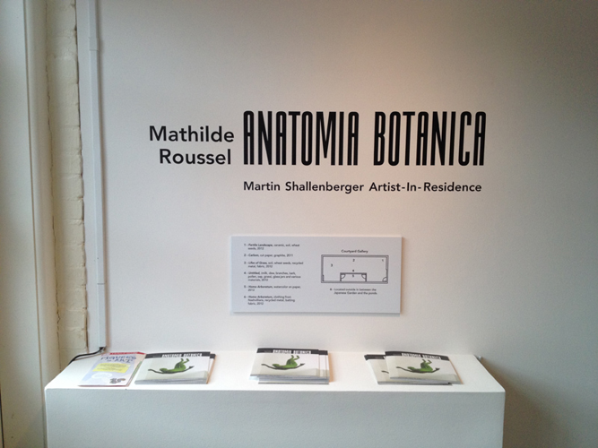 Installation View: Mathilde Roussel's <i>Anatomia Botanica</i> at Cheekwood