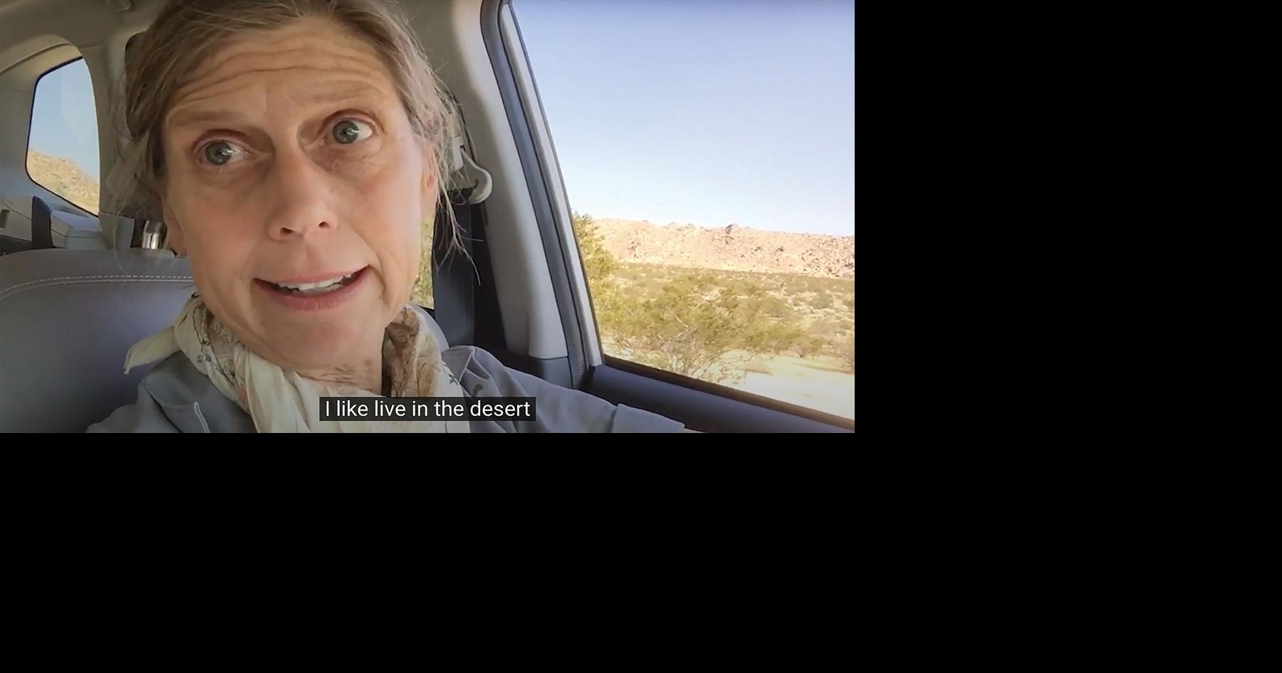Video Work by Mary Addison Hackett Is a Deadpan Artspeak Goldmine ...